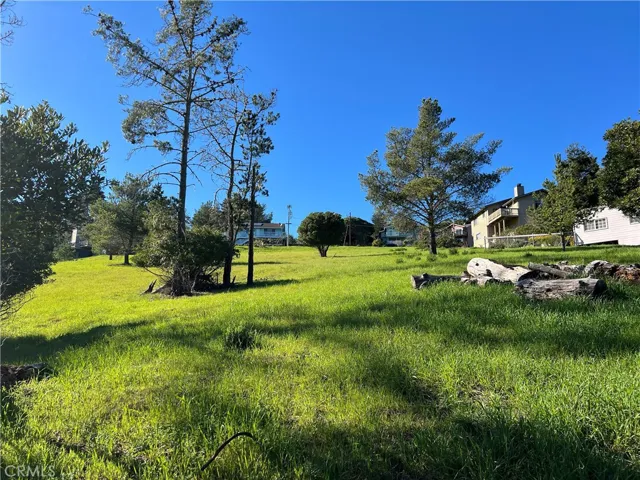 Looking up at the lots