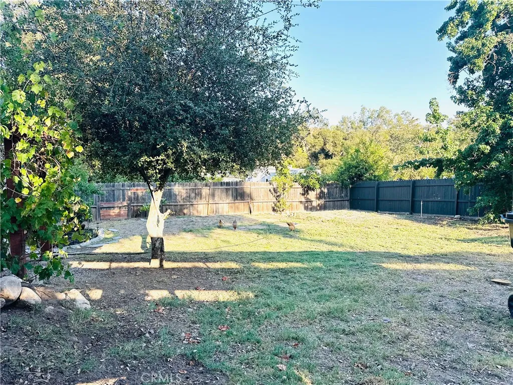 20462 Pine Road, Trabuco Canyon, California 92679 home-pic-31