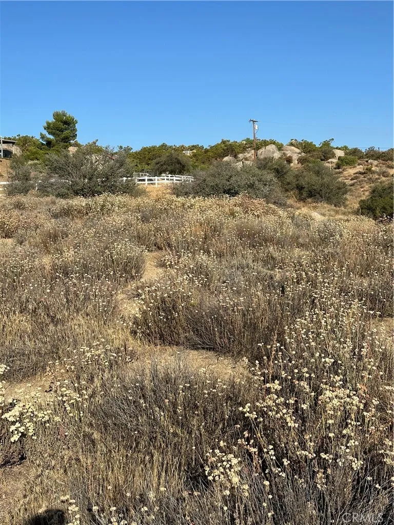 View of parcel.
