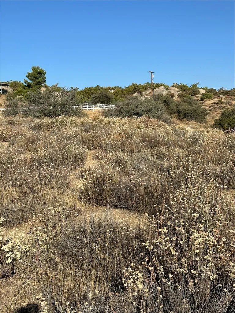 View of parcel.