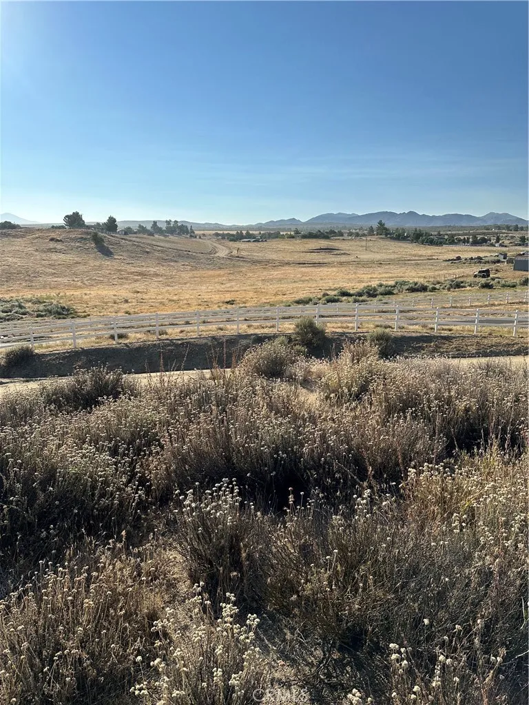 View from parcel.