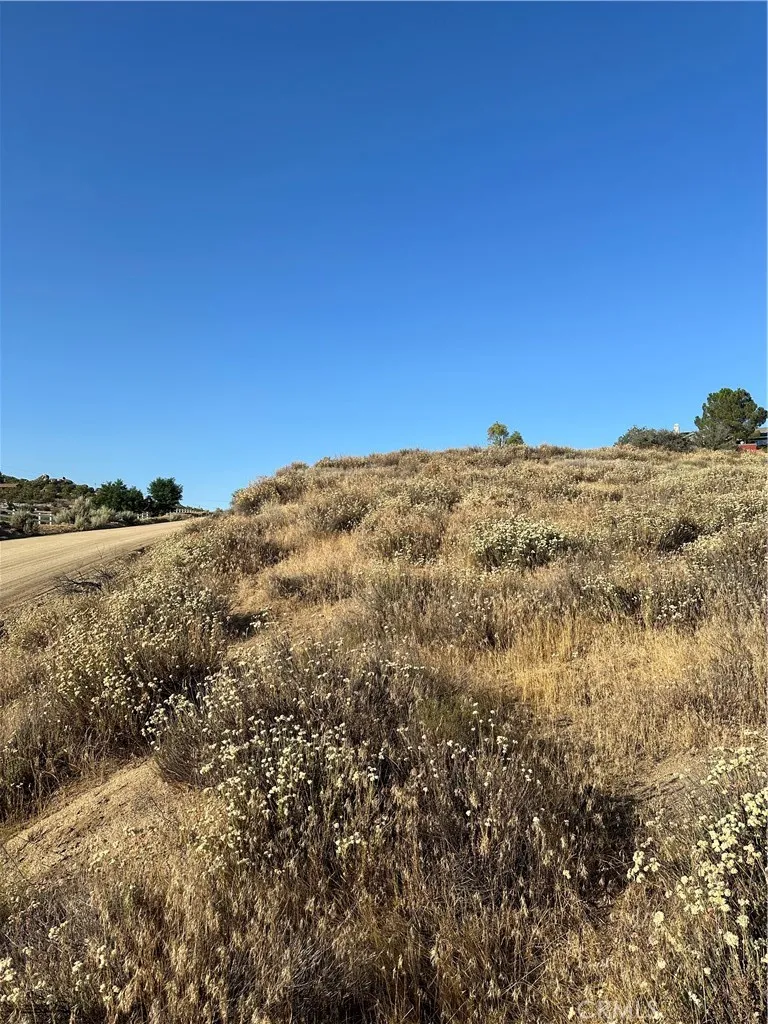 View of upper end of parcel.