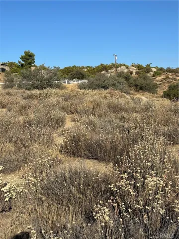 View of parcel.