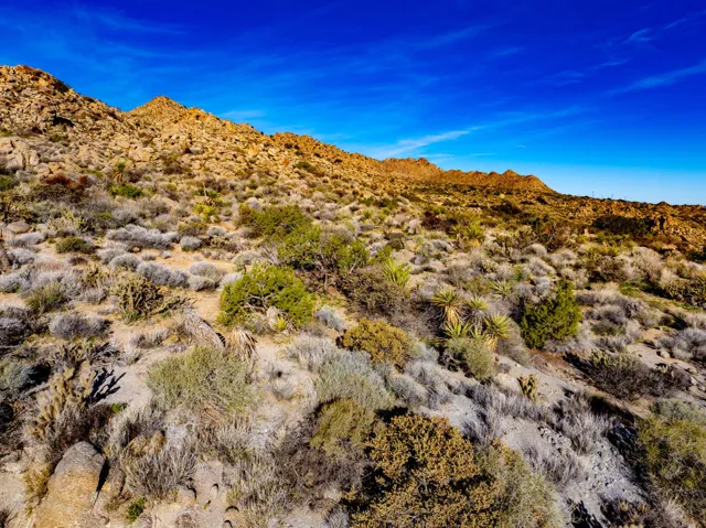 DJI_20260117090305_0083_D-HDR-Edit