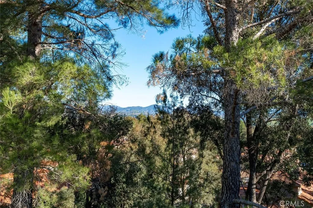 25912 Bellis, Valencia, California 91355 home-pic-24