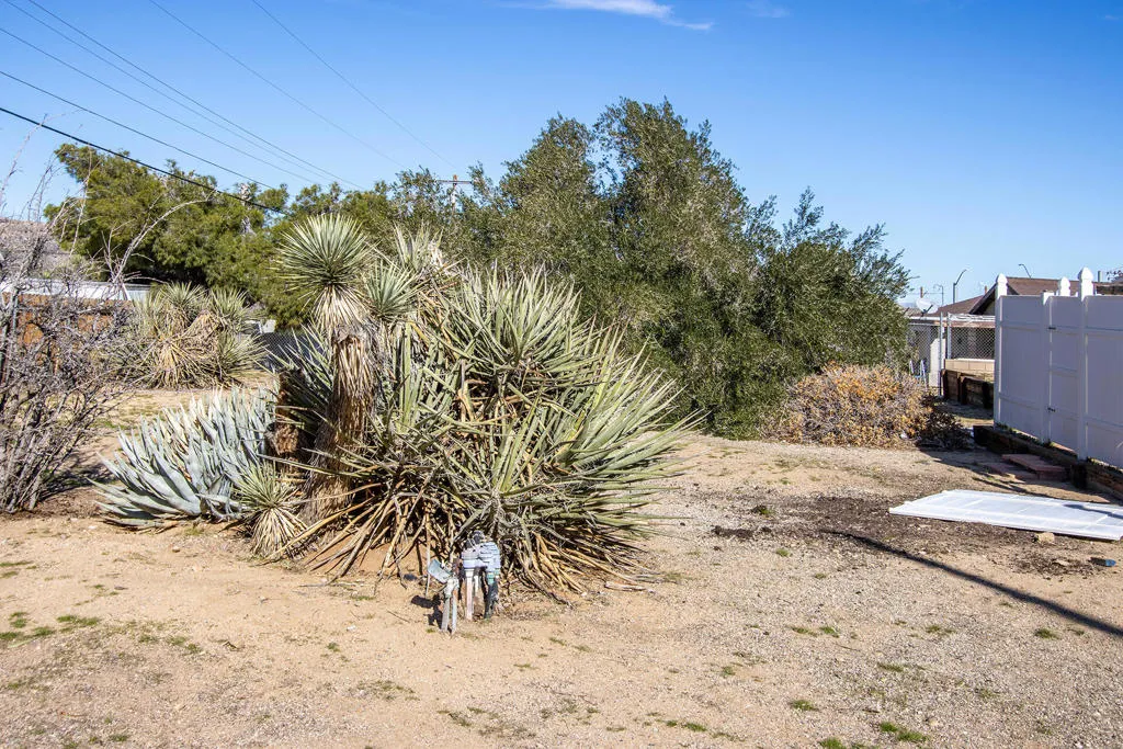 7348 Palomar Avenue, Yucca Valley, California 92284 home-pic-26