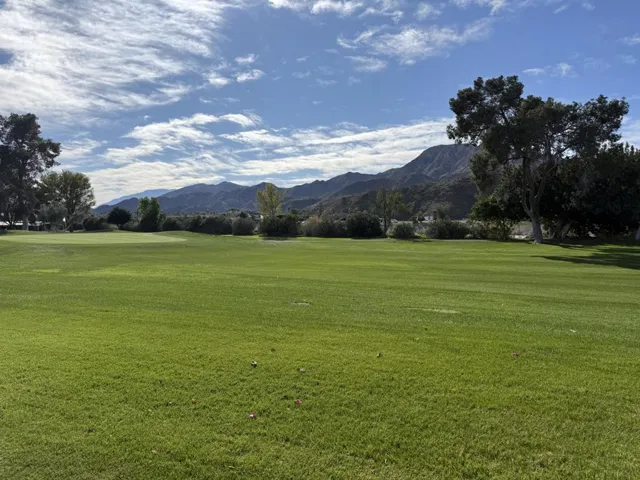 View from back patio