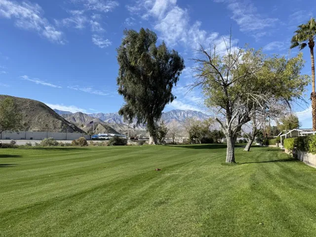 View from back patio