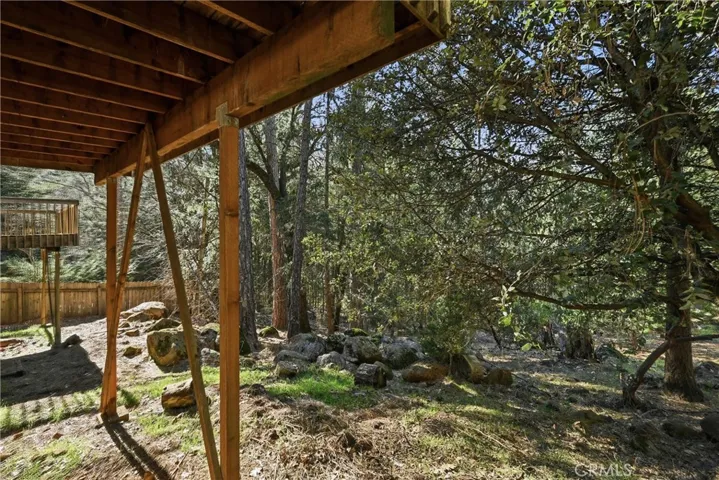 Back yard