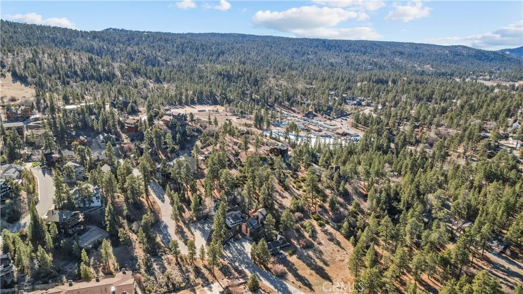 714 Paine, Big Bear Lake, California 92315 home-pic-4