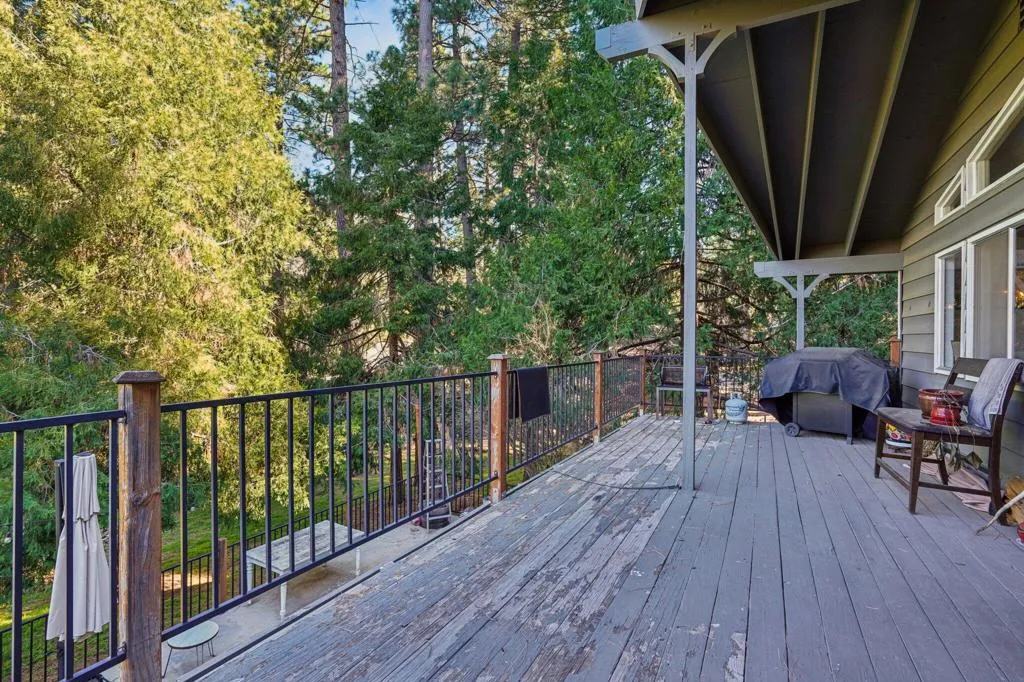 53020 W Marian View Drive, Idyllwild, California 92549 home-pic-21