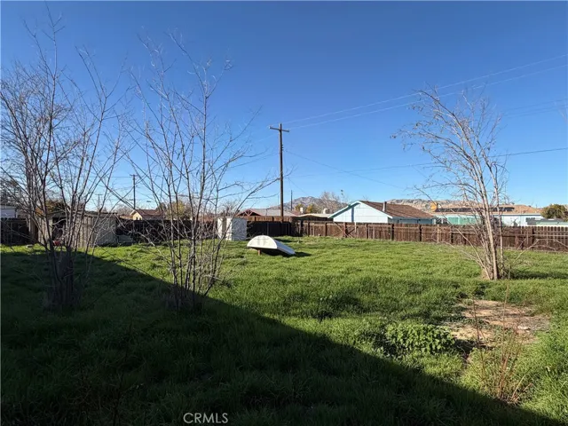 Massive backyard