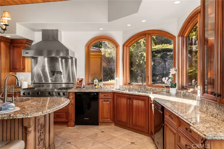 Viking 6 burner range and hood