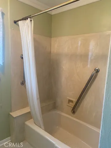 tub & shower in hall bath