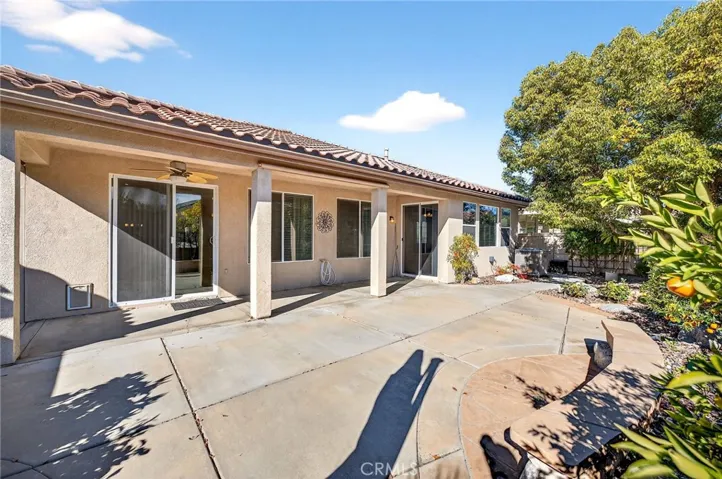 Large open Backyard