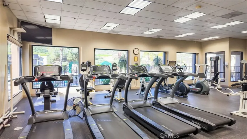 Gym