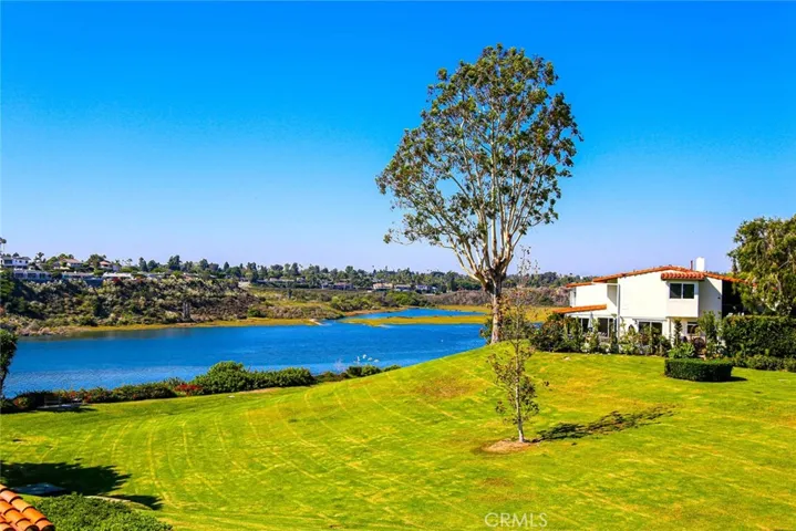 Surrounded by serenity