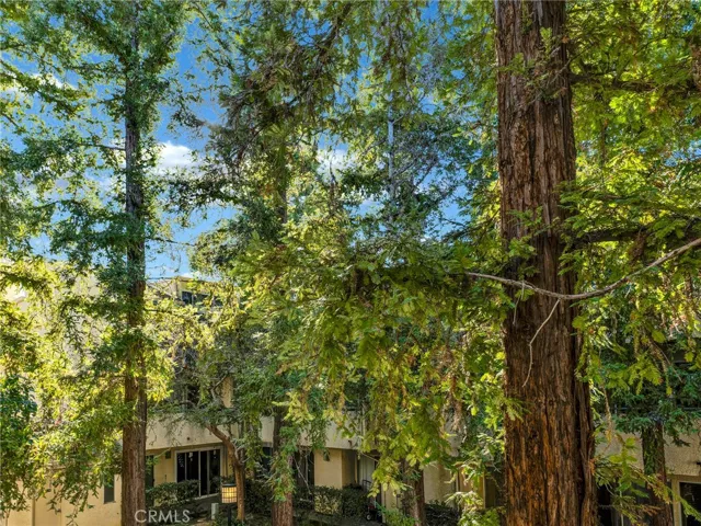 Mature trees ensure privacy!