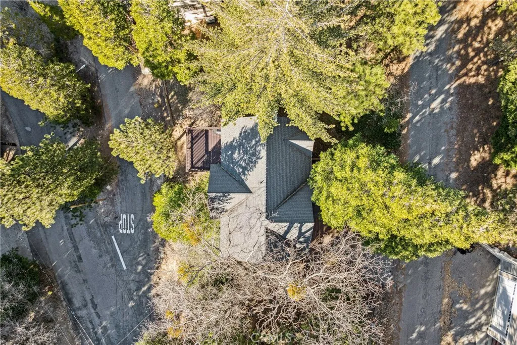 305 Summit Road, Lake Arrowhead, California 92352 home-pic-45