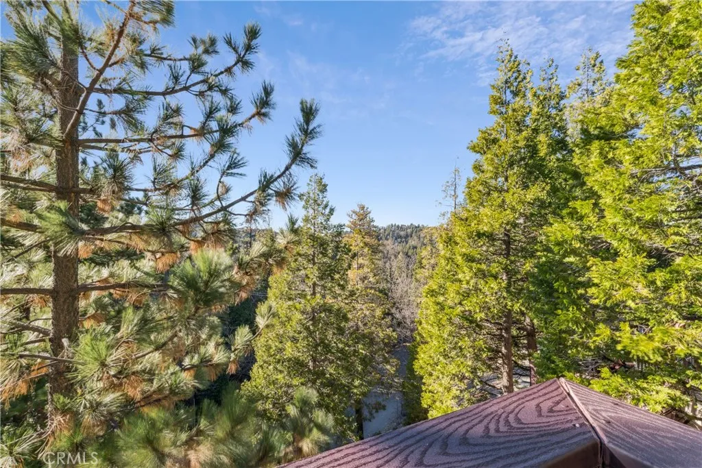 305 Summit Road, Lake Arrowhead, California 92352 home-pic-19