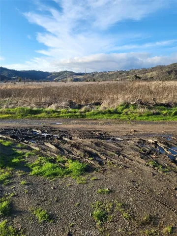 Looking toward Borax Lake