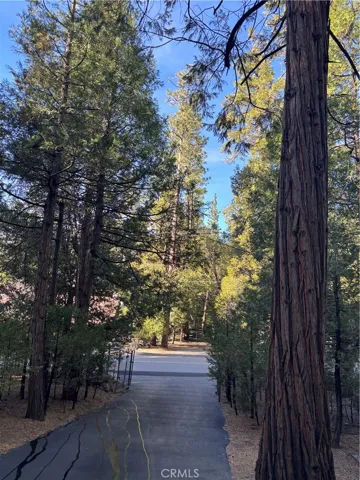 Thank you for visiting