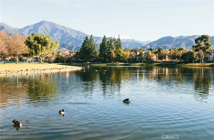 RSM Lake