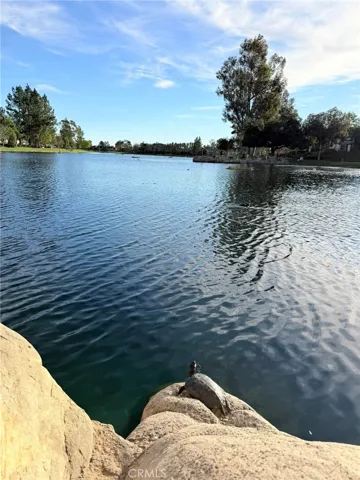 RSM Lake