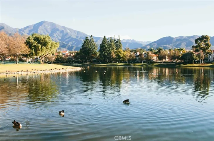 RSM Lake