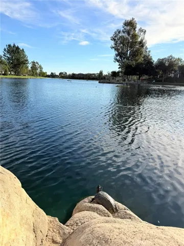 RSM Lake