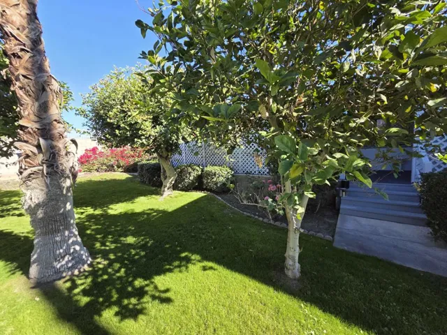 Yard