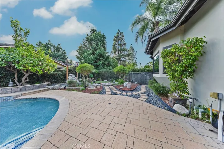 back yard