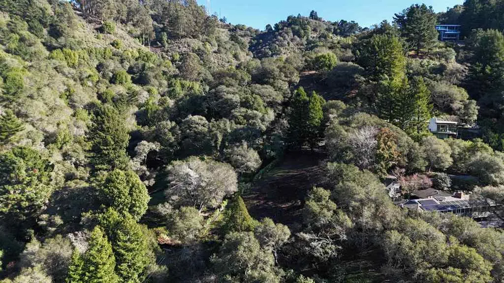 1488 Alvarado Rd., Berkeley, California 94705 — photo 4