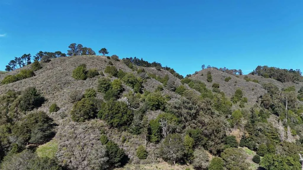 1488 Alvarado Rd., Berkeley, California 94705 — photo 5