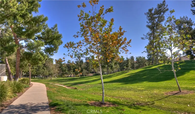 Yosemite Park Walking Paths