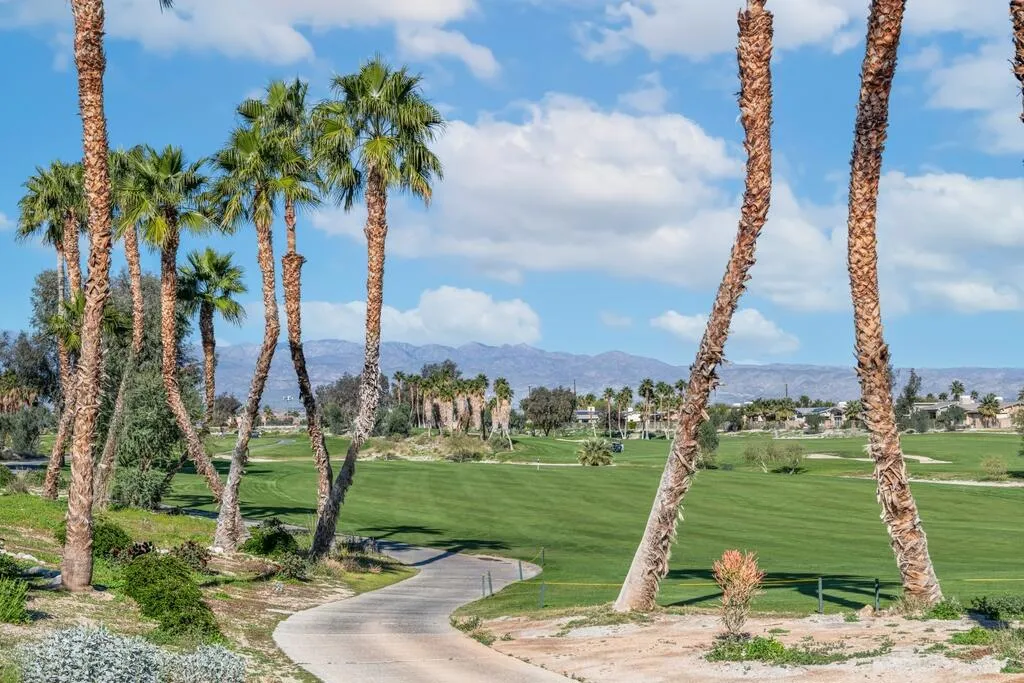 1200 Celadon Street, Palm Springs, California 92262 home-pic-43