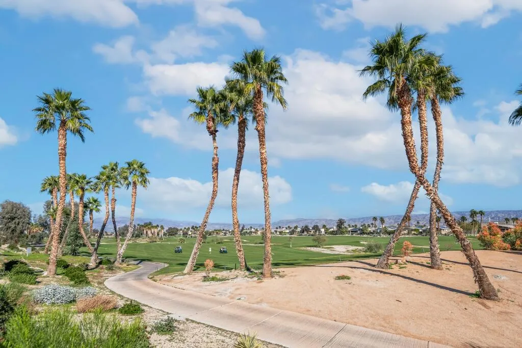 1200 Celadon Street, Palm Springs, California 92262 home-pic-44