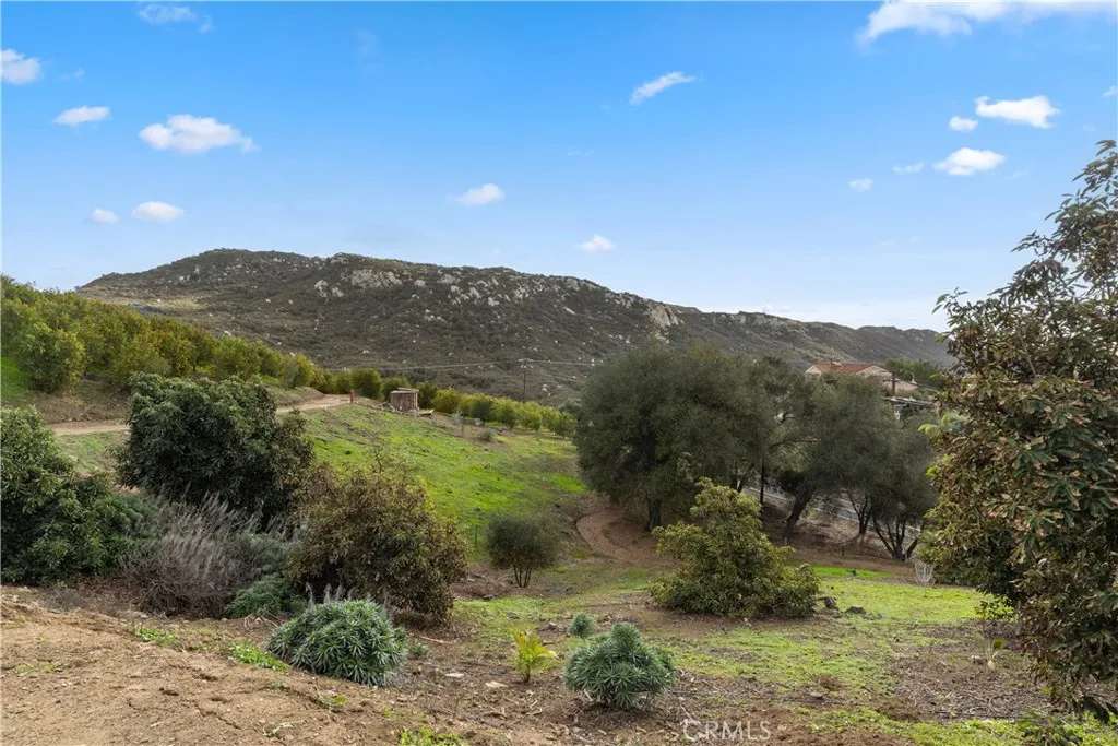 29165 Ridgeline Court, Temecula, California 92590 home-pic-66