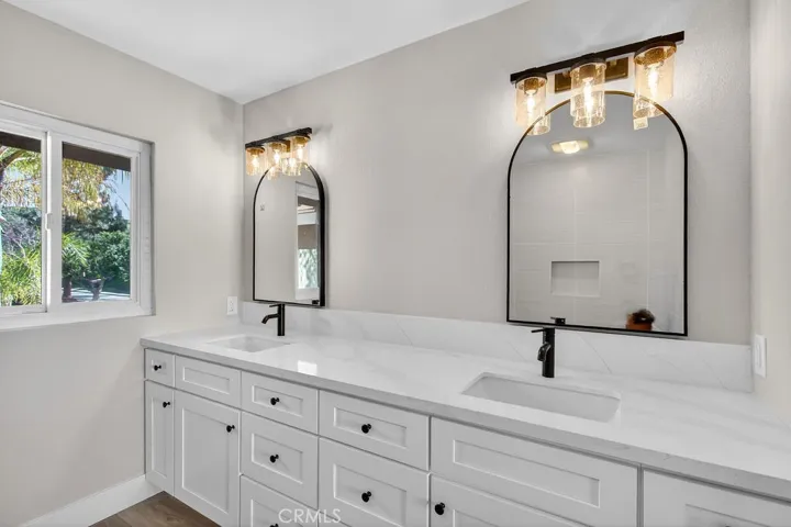Primary Dual Sink Counters