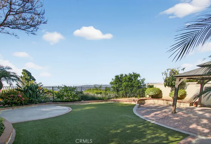 Artificial Turf in Backyard