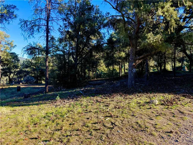 2608 Tirol, Pine Mountain Club, California 93225 — photo 4