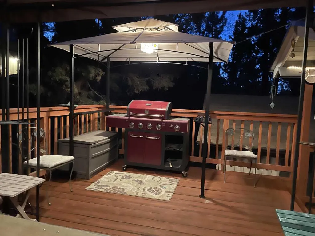 230 Vista Avenue, Sugarloaf, California 92386 home-pic-5