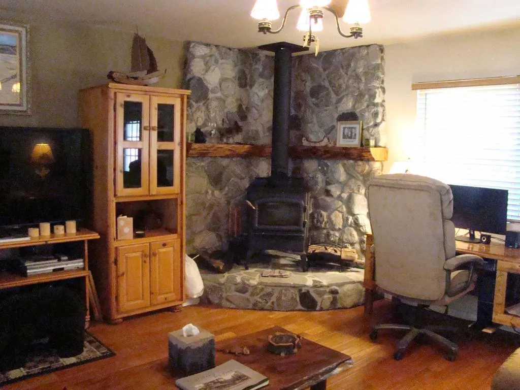 230 Vista Avenue, Sugarloaf, California 92386 home-pic-9