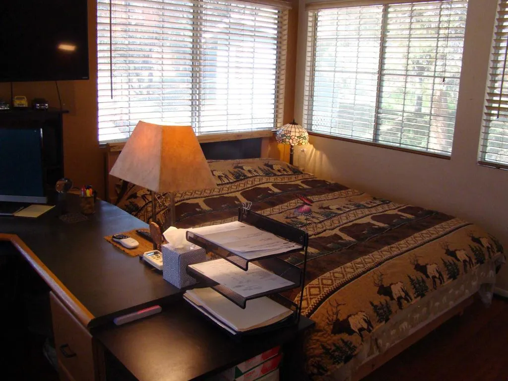 230 Vista Avenue, Sugarloaf, California 92386 home-pic-23