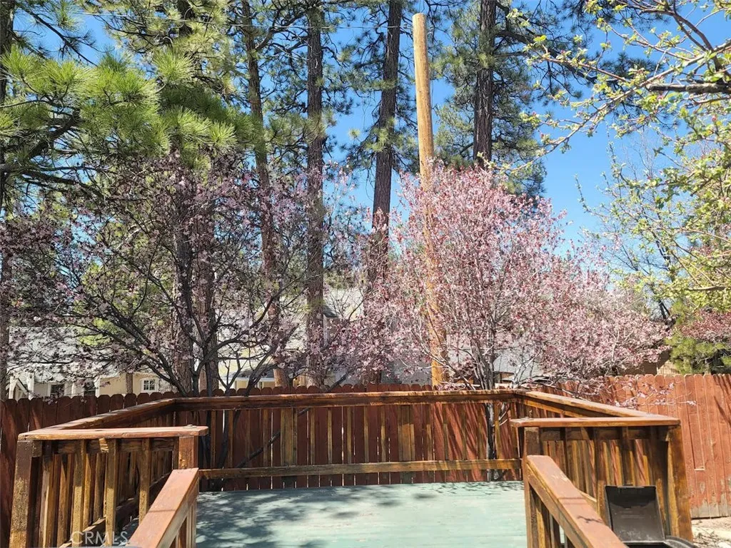 40241 Big Bear, Big Bear Lake, California 92315 home-pic-17