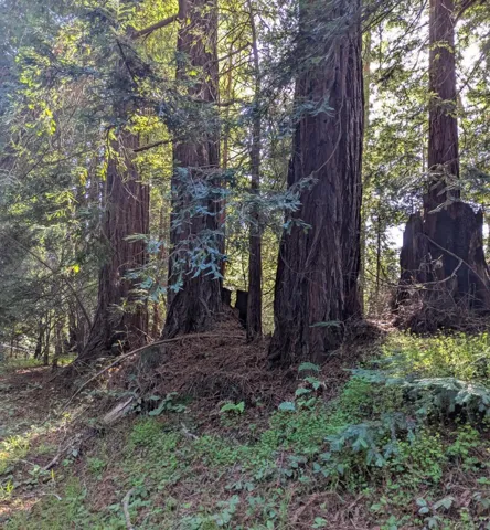 8055 Glen Haven Road, Soquel, California 95073 — photo 4