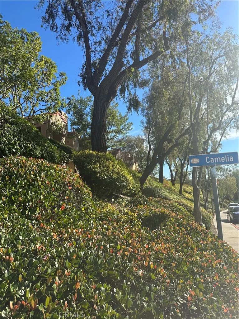 21245 Camelia 27, Lake Forest, California 92630 home-pic-32