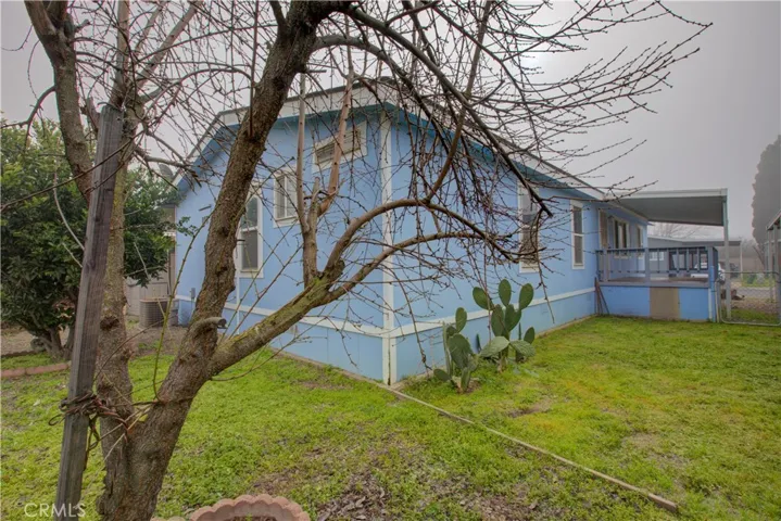 Nice fenced in back yard.
