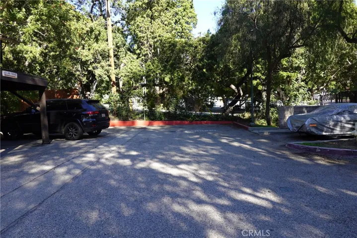 DRIVEWAY LOOKING NORTH