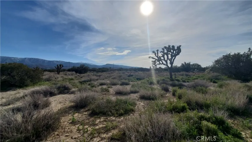 0 Antelope Hwy (138) & West Street, Llano, California 93544